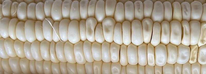 �y�V�̈���Ƃ����낱���͊Â����Ⴄ�H�����܃R�[����SNS�Ńo�Y�闝�R���T�C�g